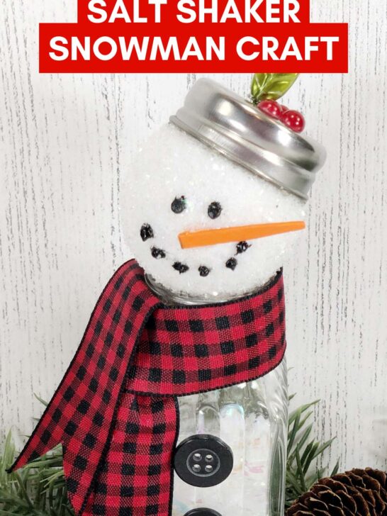 Salt-Shaker-Snowman-Craft