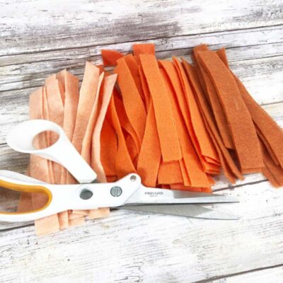 Cut Strips of Orange Felt