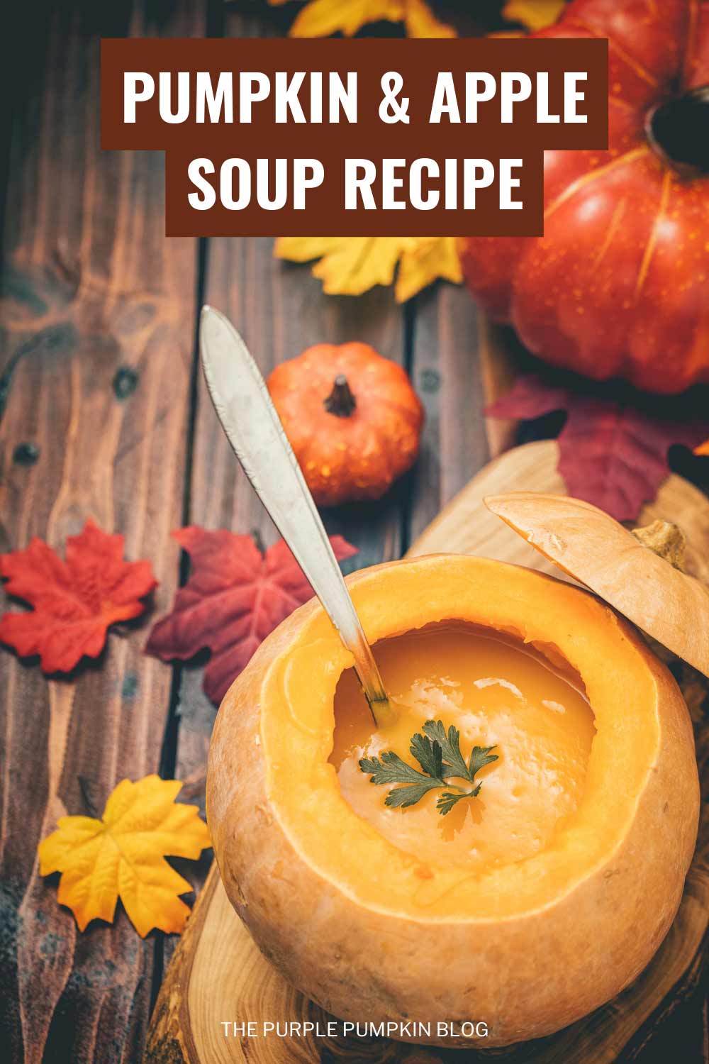 Pumpkin-Apple-Soup-Recipe