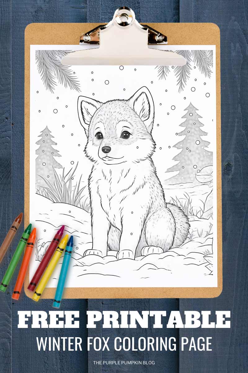Digital image of winter fox coloring page on a clipboard with some crayons. Text overlay says"Adorable Free Printable Winter Fox Coloring Page!"