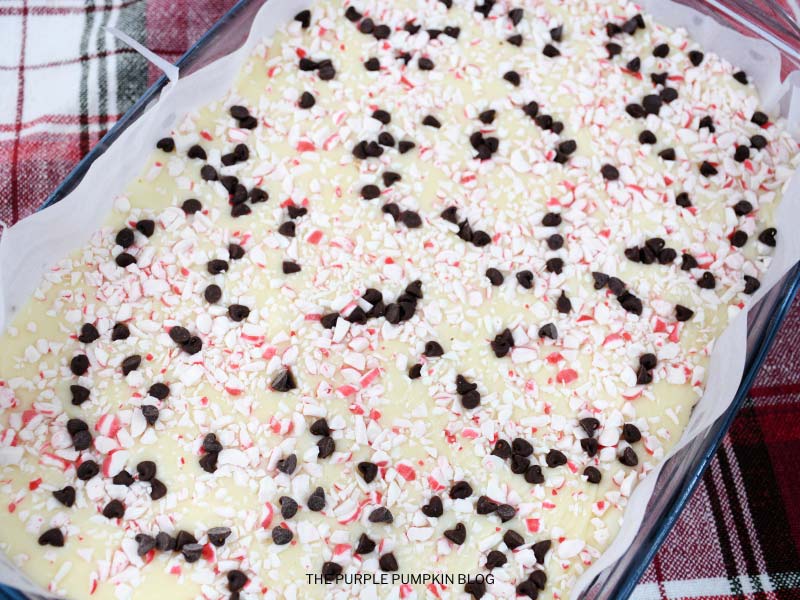 Mini Chocolate Chips on Fudge