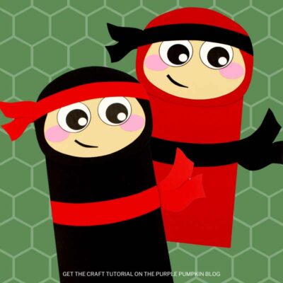 Ninja Paper Craft Idea
