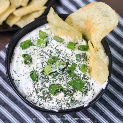 Parmesan Onion Dip Recipe