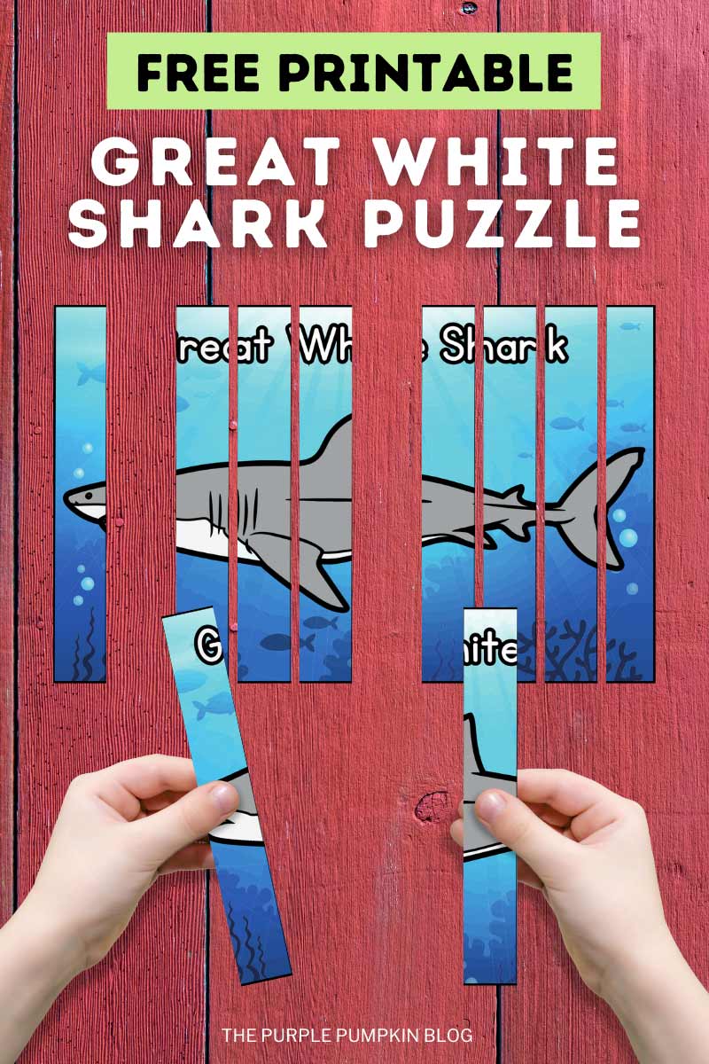 Free Printable Great White Shark Puzzle