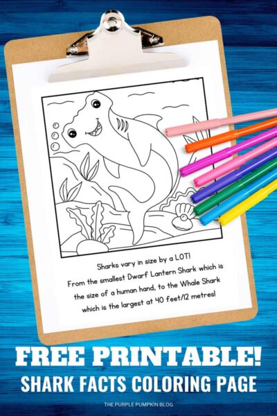 Free Printable Shark Coloring Pages (Shark Colouring Pages)