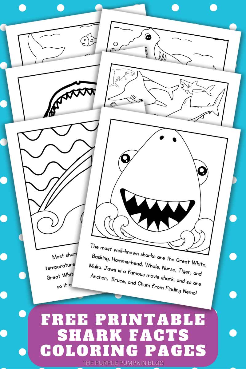 Free Printable Shark Facts Coloring Pages