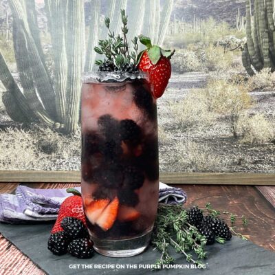 Blackberry Brandy Cocktail Recipe