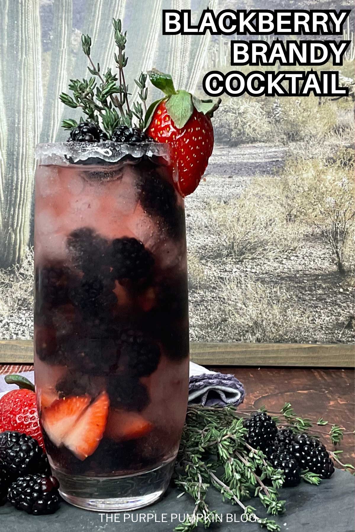 Blackberry-Brandy-Cocktail