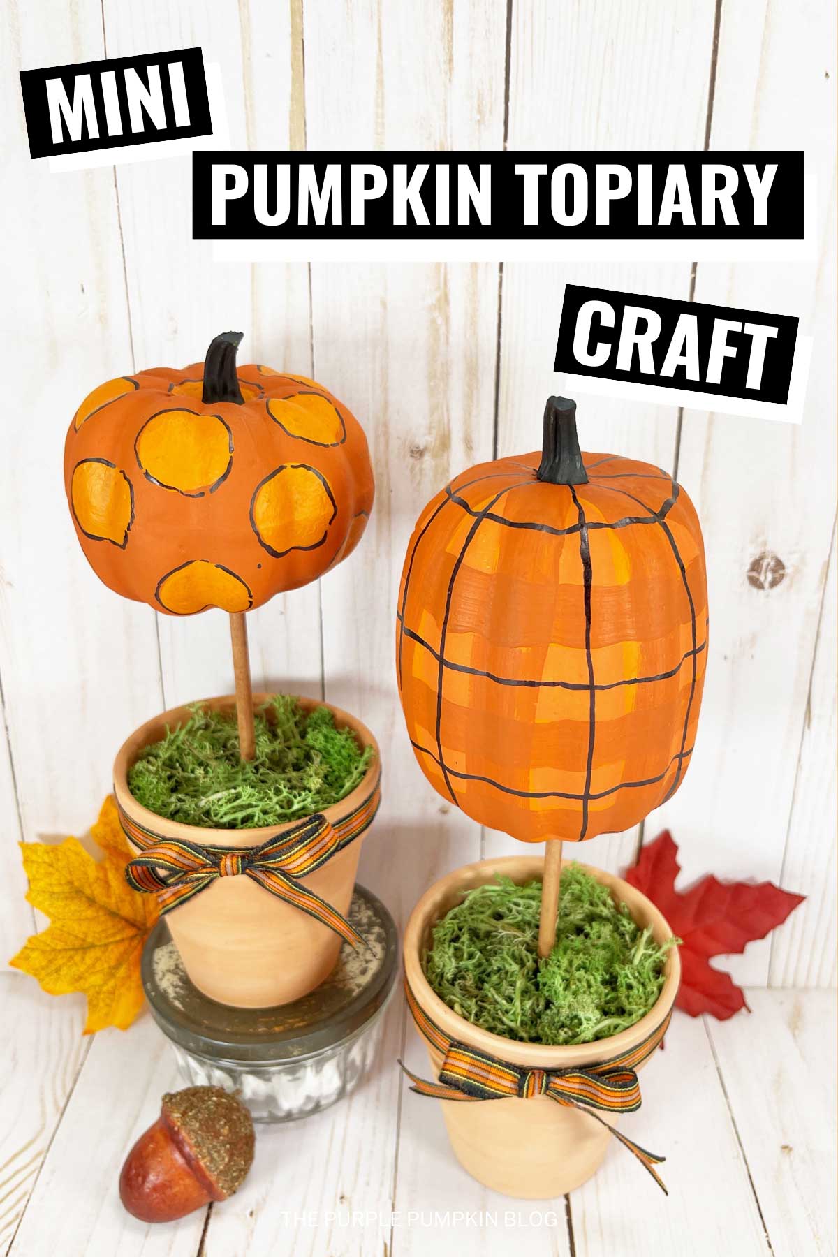 Mini-Pumpkin-Topiary-Craft