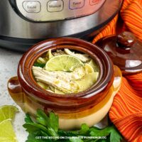 Pressure Cooker Chicken Noodle Soup Recipe