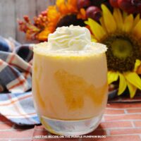 Pumpkin Pie Cocktail Recipe