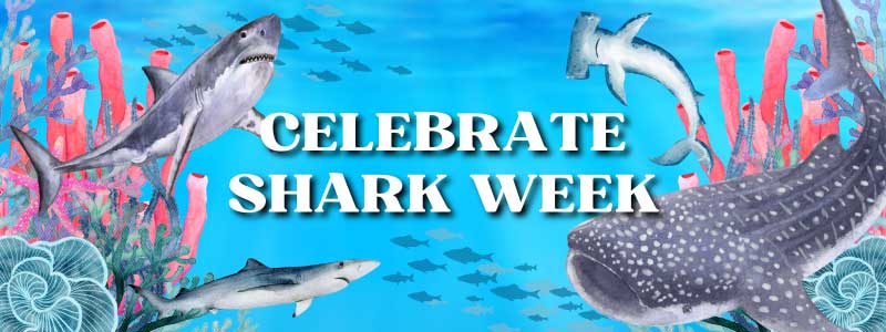 Click to Celebrate Shark Week - The Purple Pumpkin Blog