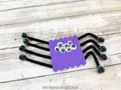 Bending the Spider Pipe Cleaner Legs