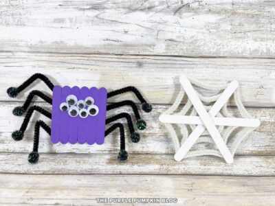 A spider made with a body of craft sticks, pipe cleaner legs, and googly eyes, with a spider web made from craft sticks and pipe cleaners.