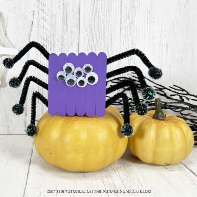 A spider made with a body of craft sticks, pipe cleaner legs, and googly eyes, with a spider web made from craft sticks and pipe cleaners. The spider is sat on a mini pumpkin.