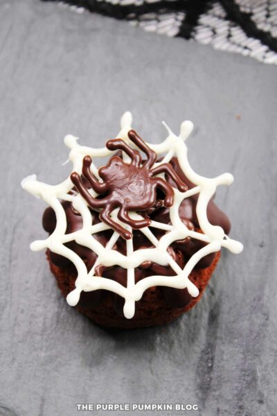 Overhead shot of mini chocolate bundt cakes topped with chocolate ganache and decorated with a chocolate spider and web.