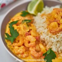 Close-up of a bowl of Shrimp Tikka Masala served with fluffy basmati rice and garnished with fresh cilantro leaves. A wedge of lime is placed at the top for added freshness. The creamy orange curry features plump shrimp, onions, and a rich, spiced sauce.