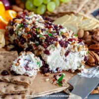 A close-up of an orange cranberry pecan cheese log on a wooden board. The creamy cheese mixture is coated in chopped dried cranberries, pecans, and parsley. Crackers, nuts, and sliced oranges surround the cheese log. A serving knife rests beside it.